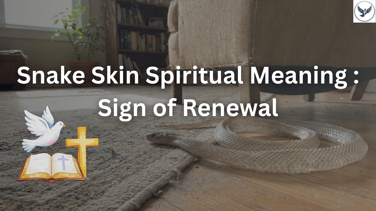 Finding Snake Skin Spiritual Meaning