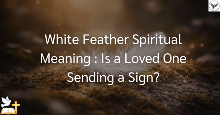 Spiritual Meaning of White Feather