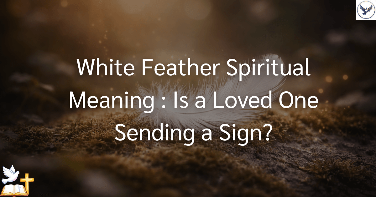 Spiritual Meaning of White Feather