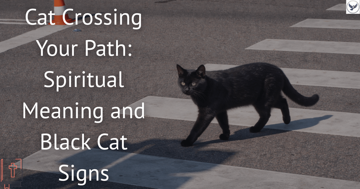 Cat Crossing Your Path