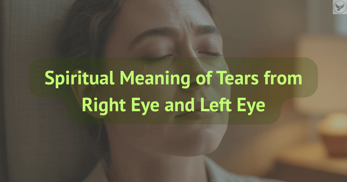 Spiritual Meaning of Tears