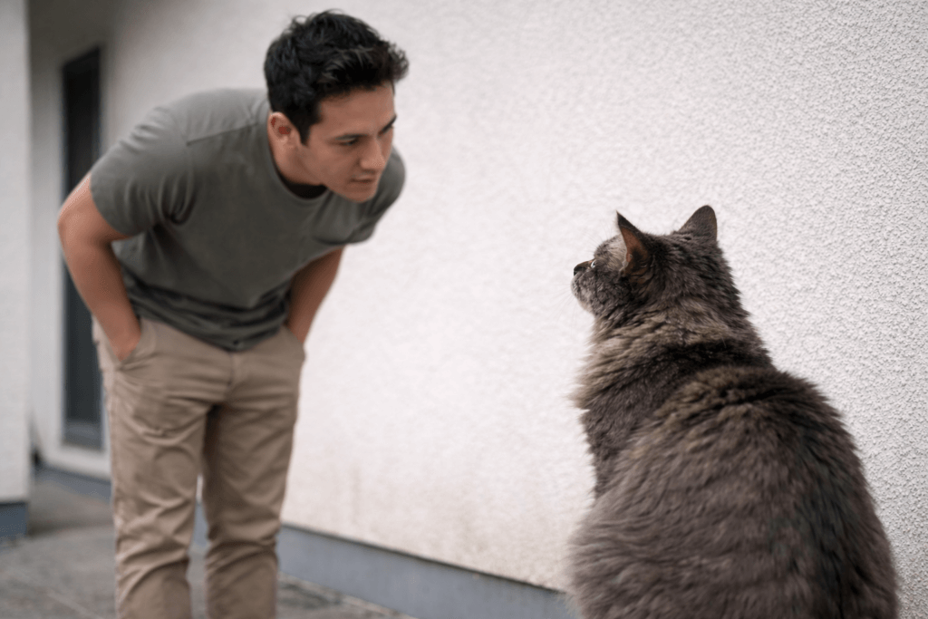 The Spiritual Meaning of a Cat Staring at You