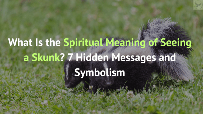 What Is the Spiritual Meaning of Seeing a Skunk